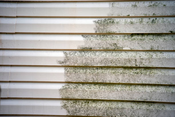 Best Construction Debris Removal  in Wtell, LA